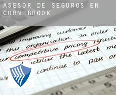 Asesor de seguros en  Corn Brook