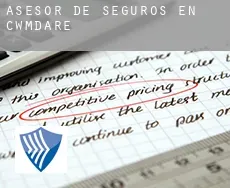 Asesor de seguros en  Cwmdare