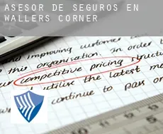 Asesor de seguros en  Wallers Corner