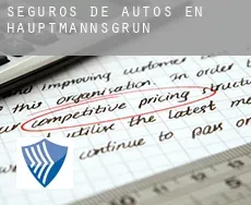 Seguros de autos en  Hauptmannsgrün