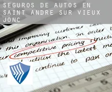Seguros de autos en  Saint-André-sur-Vieux-Jonc