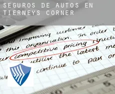 Seguros de autos en  Tierneys Corner
