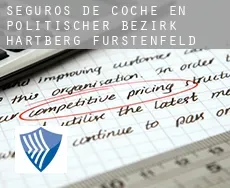 Seguros de coche en  Politischer Bezirk Hartberg-Fürstenfeld