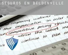 Seguros en  Beldenville