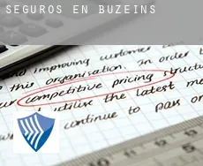 Seguros en  Buzeins