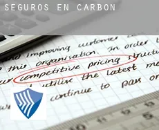 Seguros en  Carbon