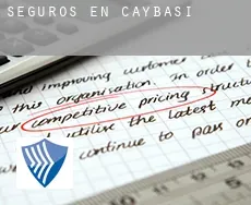 Seguros en  Çaybaşı