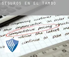 Seguros en  El Tambo