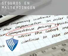 Seguros en  Malterdingen