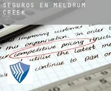 Seguros en  Meldrum Creek