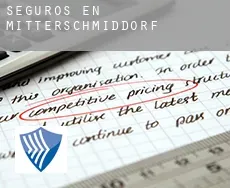Seguros en  Mitterschmiddorf