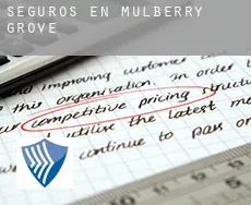 Seguros en  Mulberry Grove