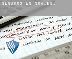 Seguros en  Nowingi