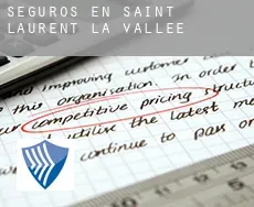 Seguros en Saint-Laurent-la-Vallée