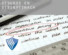 Seguros en  Steinreinach