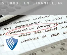 Seguros en  Stramillian