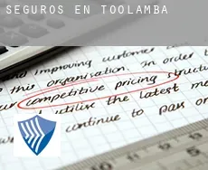Seguros en  Toolamba
