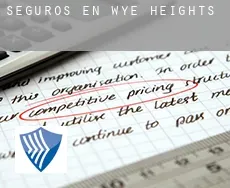 Seguros en  Wye Heights