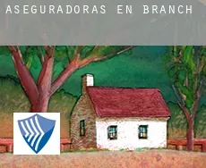 Aseguradoras en  Branch