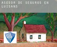 Asesor de seguros en Luisans