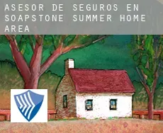 Asesor de seguros en  Soapstone Summer Home Area