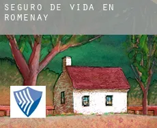 Seguro de vida en Romenay