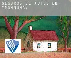 Seguros de autos en  Ironmungy