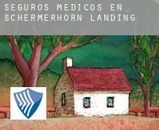 Seguros medicos en  Schermerhorn Landing