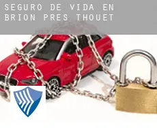 Seguro de vida en  Brion-près-Thouet
