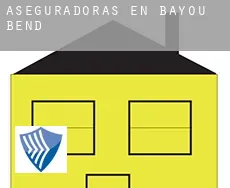 Aseguradoras en  Bayou Bend
