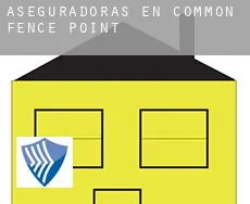 Aseguradoras en  Common Fence Point