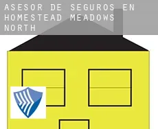 Asesor de seguros en  Homestead Meadows North