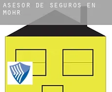 Asesor de seguros en  Mohr