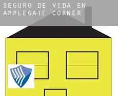 Seguro de vida en  Applegate Corner