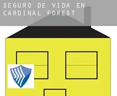 Seguro de vida en Cardinal Forest