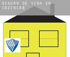 Seguro de vida en  Idzincab