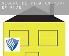 Seguro de vida en  Pont-de-Ruan