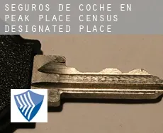 Seguros de coche en  Peak Place