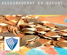 Aseguradoras en  Kapuni