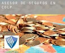 Asesor de seguros en  Colp