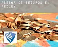Asesor de seguros en Pedley