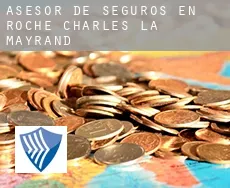 Asesor de seguros en  Roche-Charles-la-Mayrand