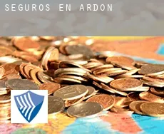 Seguros en  Ardon