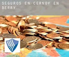 Seguros en Cernoy-en-Berry