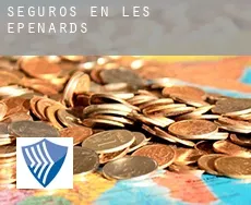 Seguros en  Les Épenards