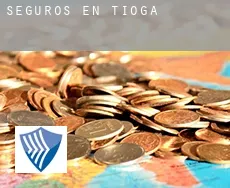 Seguros en  Tioga