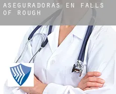 Aseguradoras en Falls of Rough