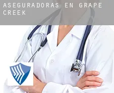 Aseguradoras en Grape Creek