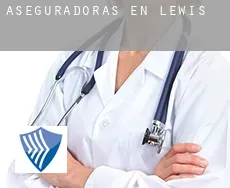 Aseguradoras en  Lewis
