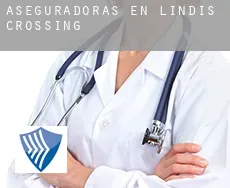 Aseguradoras en  Lindis Crossing